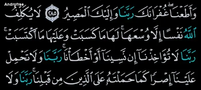 Quran no internet screen 3